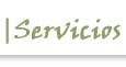 servicios
