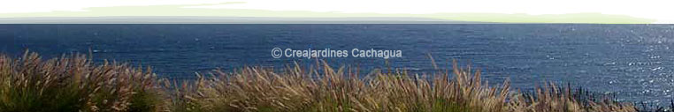 creacin y mantencin de jardines junto al mar