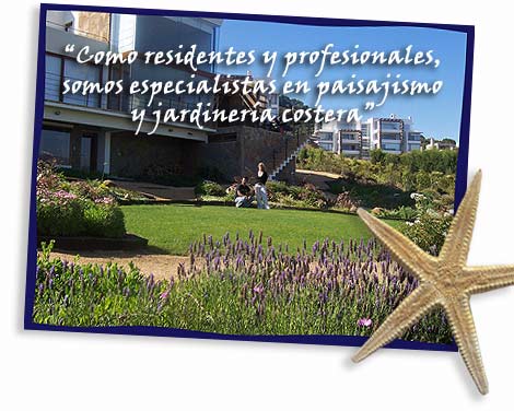 creajardines cachagua especialistas en paisajismo y jardineria costera