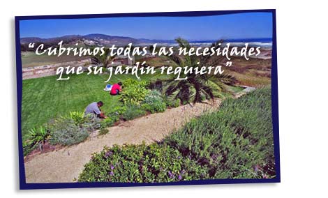 profesionales especializados en diseño,cuidado y mantención de jardines en zonas cercanas al mar