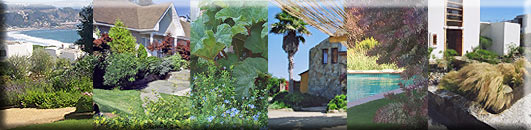 creajardines cachagua servicios integrales de paisajismo y jardinera
